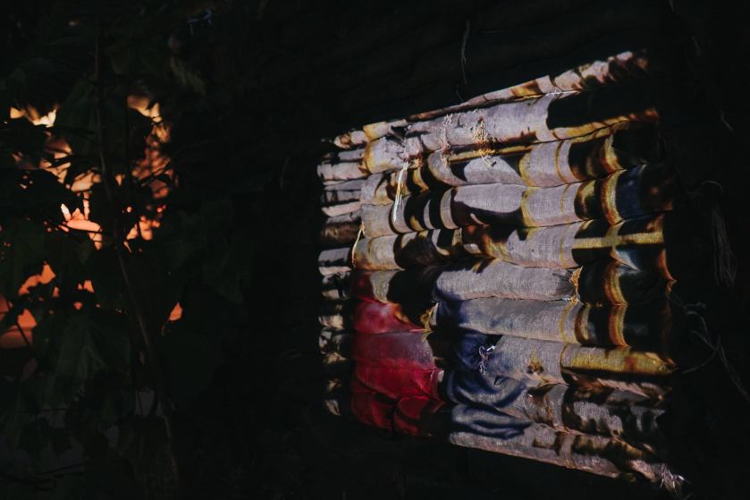 13988010_1845015222387991_8297836332662031073_o