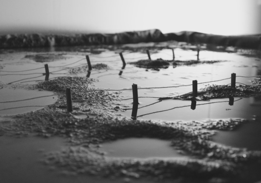 souvenir-paysage n°2 b_tmoulin